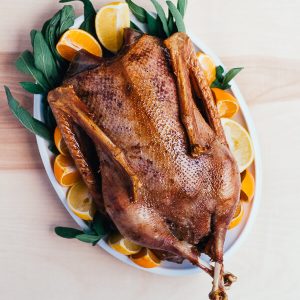Emden Goose - Coming Soon!
